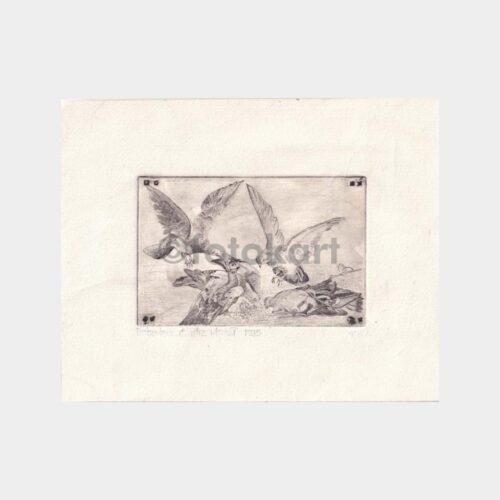 guvercinler-tablo