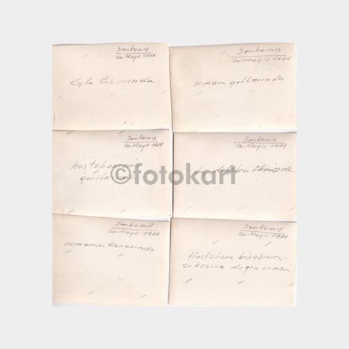 sarikamis-askeri-lot_3