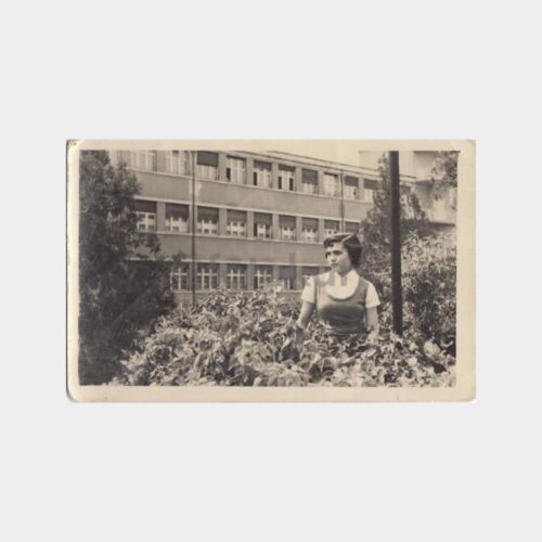 1955 Okul Bahçesinde Öğrenci Fotoğraf