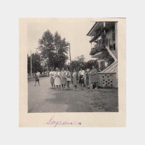 1964 Sapanca Konulu 3 Adet Albüm Fotoğrafı
