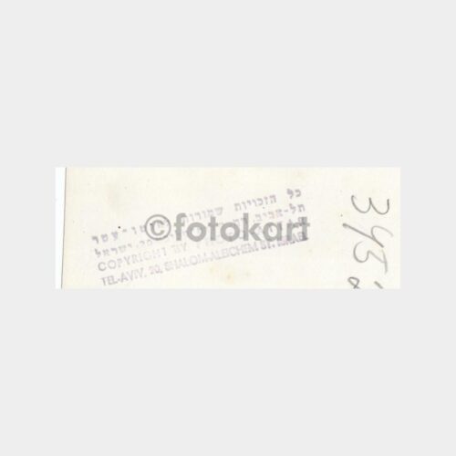 1956 Türk Milli Basketbol Takımı-Turnuva Fotoğrafı - Görsel 2