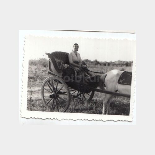 1940 Atlı Fayton Konulu Fotoğraf