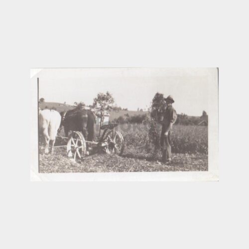1940 Tarım Ziraat Ekim Çiftlik Konulu Fotoğraf