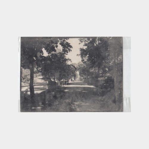 1930 Yalova Kaplıcaları Yolu Konulu Fotoğraf