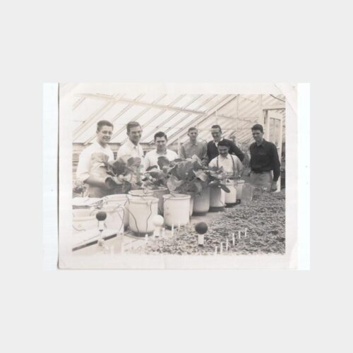 Zirai Tarım Kültürü Konulu -Ziraat Öğrencileri- Fotoğraf