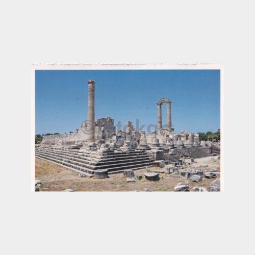 aydin-didim-apollon