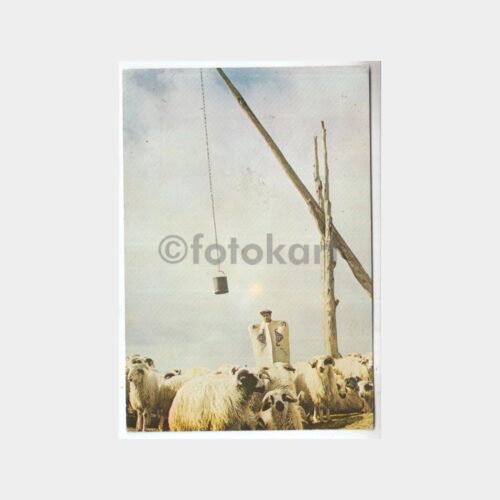 1974 Karacabey Damgalı Köy Çoban Kuyu Önünde Kartpostal