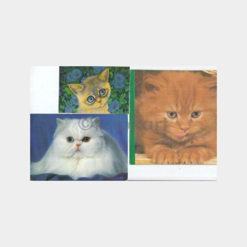 1995 Kedi Konulu 3 Adet Tebrik Kartı