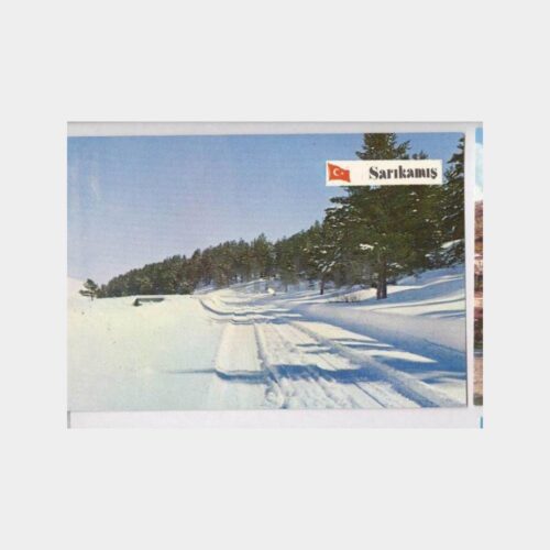Sarıkamış Kış Manzarası Görünüş Kartpostal