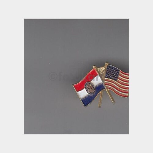 Çift Bayrak ABD-Paraguay Konulu Rozet