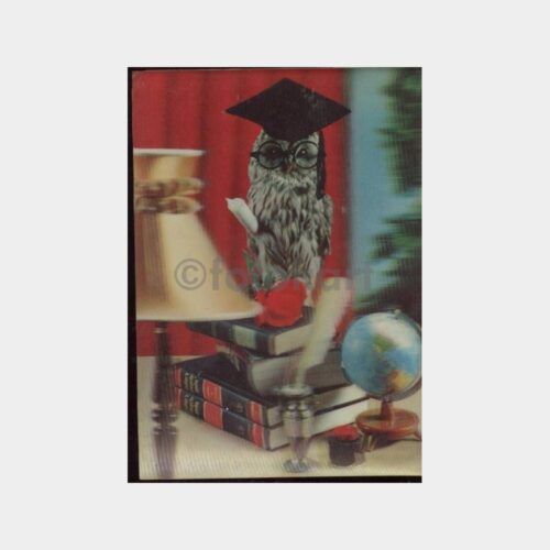 Baykuş Konulu 3 Boyutlu Kartpostal