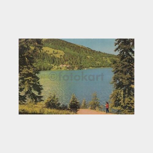 1960 Bolu Abant Gölünden Görünüş Kartpostal
