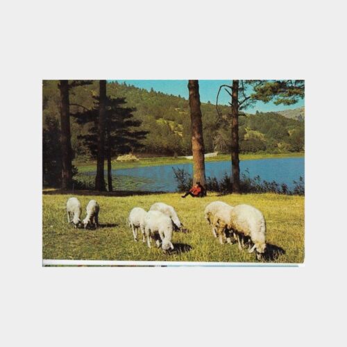 1970 Bolu Abant Gölü Görünüş Kartpostal