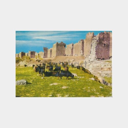 1969 Diyarbakır Surları Görünüş Kartpostal