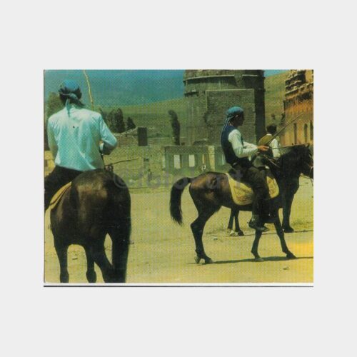 1980 Erzurum Cirit Oyunu Görünüş Kartpostal