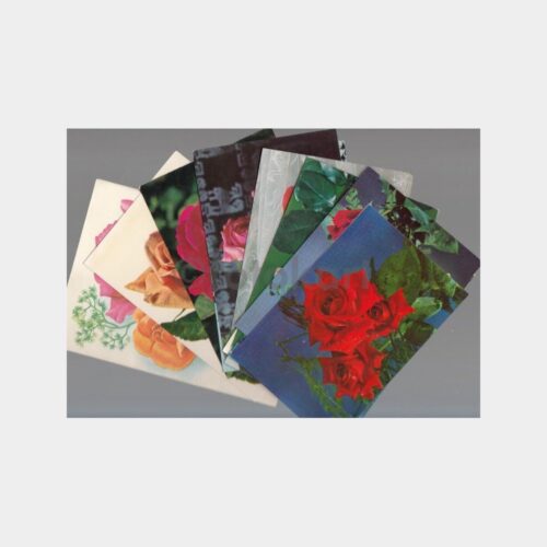 Gül Çiçek Konulu Kartpostal Lotu (12 Adet)