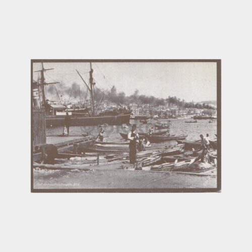 1880 İstanbul Limanı Reprodüksiyon Baskı Kartpostal