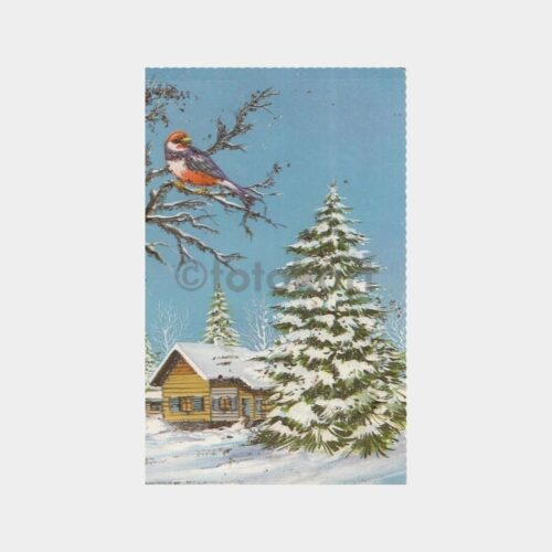 Karlı Kış Günü Konulu Simli Fantezi Tebrik Kartı Kartpostal