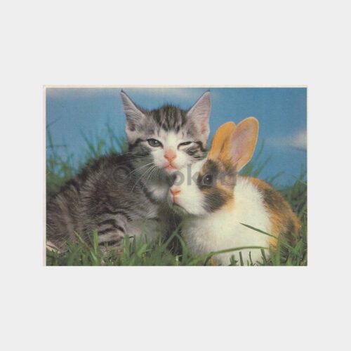 Kedi Tavşan Arkadaşlığı Konulu Kartpostal