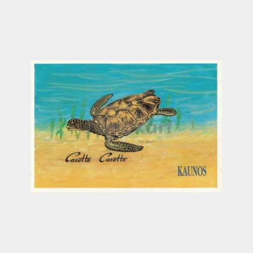Köyceğiz Kaunos Caretta Kablumbağa Konulu Kartpostal