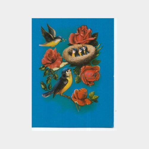 Kuşlar Konulu Kartpostal Lotu (6 Adet) - Görsel 2