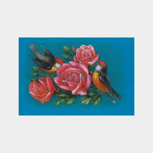 Kuşlar Konulu Kartpostal Lotu (6 Adet) - Görsel 3