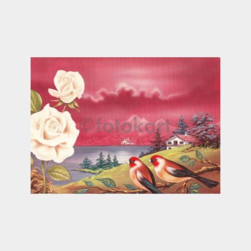 Kuşlar Konulu Kartpostal Lotu (6 Adet) - Görsel 4
