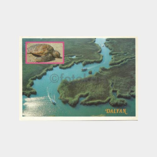 2000 Muğla Dalyan Görünüş Kartpostal