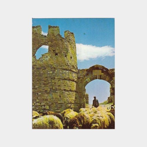 1978 Van Kalesi Görünüş Kartpostal