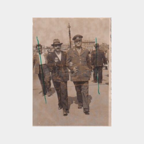 kopru-yuruyenler