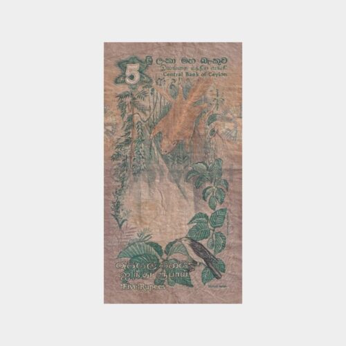 yabanci-kagit-para-04_2