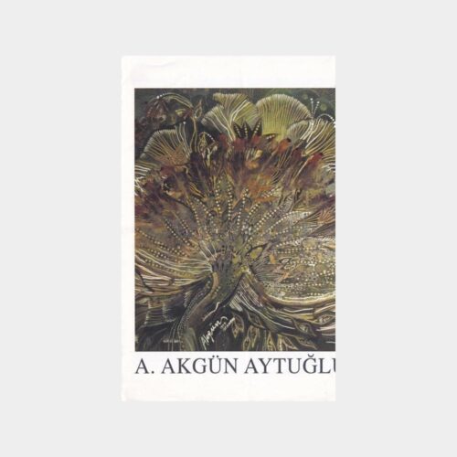 akgun-aytuglu