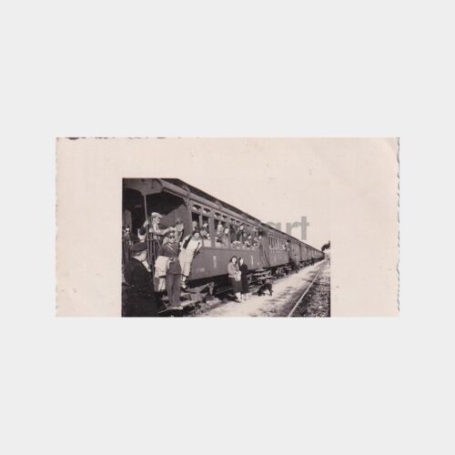bursa-treni