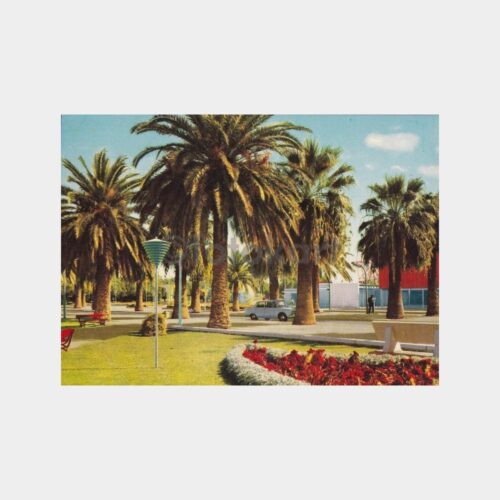 izmir-fuari-palmiyeler