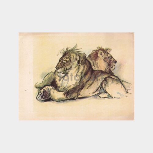 balkas-aslan