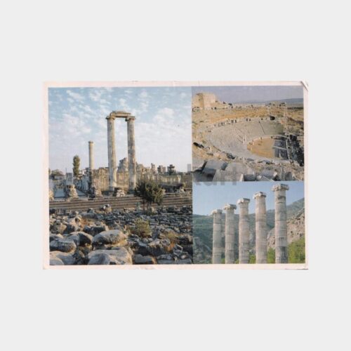didim-apollon