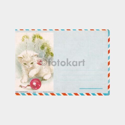 kedi-tebrik