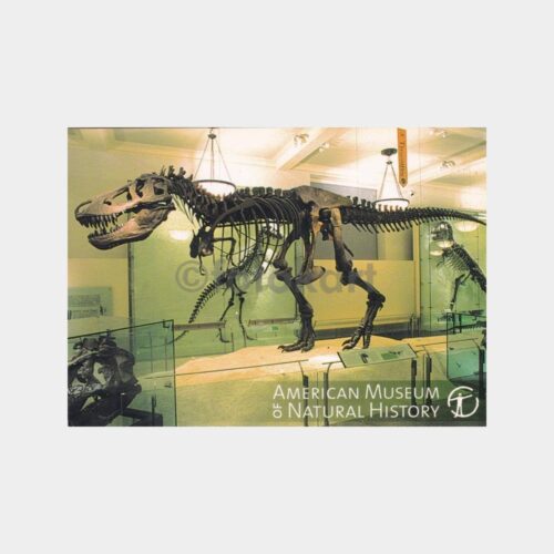 abd-tabiat-muze-dinozor