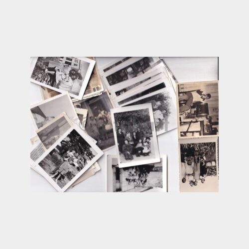 album-fotograf-lot