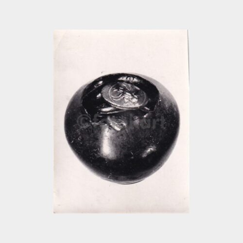 arkeoloji-muze-lot_6
