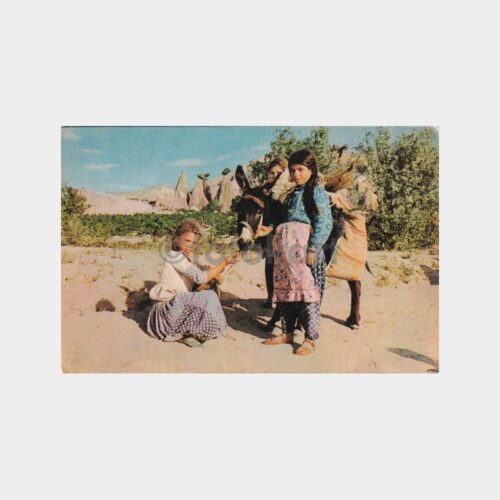 anadolu-koy-yasami