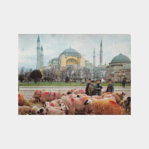 ayasofya-camii