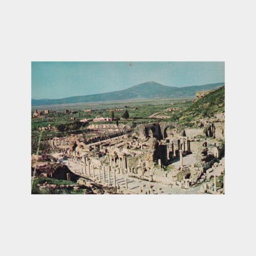efes-genel-gorunus
