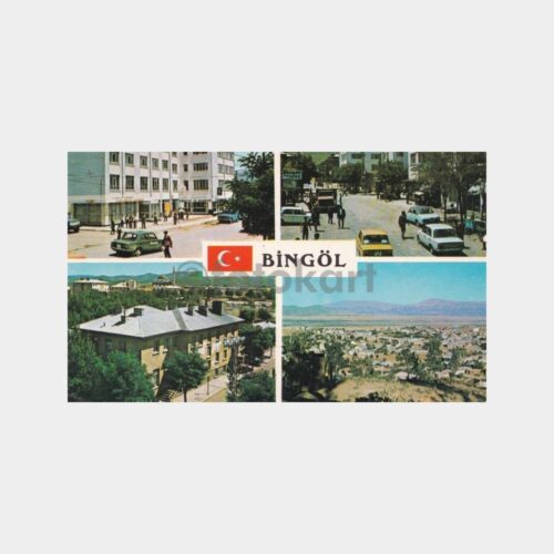 bingol