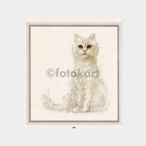 kedi-cizim-02