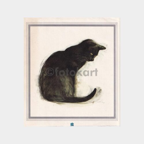 kedi-cizim-03