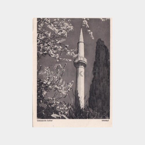 tasvir-nesriyat-06